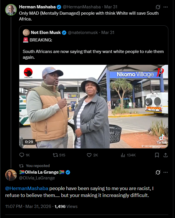 Herman Mashaba’s Dangerous Hypocrisy: Racist Tirades Against whs and PW Botha While Echoing Apartheid-Era Warnings on Foreigners