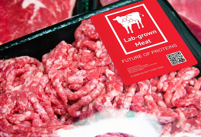 Cultivated Meat Gains Ground in South Africa as Local Biotech Pushes Innovation