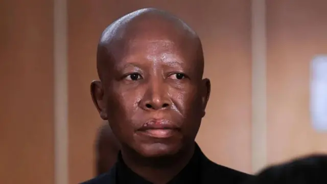 Malema Walks Free: Leave to Appeal Granted in Firearm Case